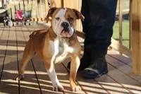 processed/1f8be596-56df-4b45-b66f-3b982b20afa7/facility/6938c142-c2db-44de-b5bb-724a8f813c58