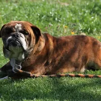 processed/1f8be596-56df-4b45-b66f-3b982b20afa7/facility/731effc4-bbdd-4ce4-a892-117a7bbcadd0