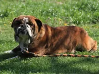 processed/1f8be596-56df-4b45-b66f-3b982b20afa7/facility/731effc4-bbdd-4ce4-a892-117a7bbcadd0