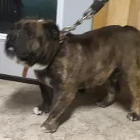 processed/1f8be596-56df-4b45-b66f-3b982b20afa7/facility/af43423c-6def-4b51-88ba-9208b82eafe7