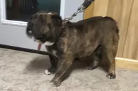 processed/1f8be596-56df-4b45-b66f-3b982b20afa7/facility/af43423c-6def-4b51-88ba-9208b82eafe7