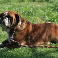 processed/1f8be596-56df-4b45-b66f-3b982b20afa7/facility/e6227839-fc09-4eef-861e-6565f68ed9a4