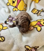 processed/1f8d0536-5505-4ad2-b702-5f01f69b9c62/listing/62fa0fdc-f6aa-4e88-8963-f5be1372b3ba/88edf5af-5439-429f-aab3-f91a65041f2e