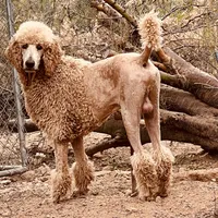 processed/1f9c4677-5388-4640-a2b3-246bc4423209/facility/43668bff-0f64-48cd-9744-bda03eada2ed