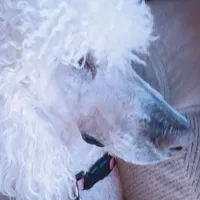 processed/1f9c4677-5388-4640-a2b3-246bc4423209/facility/602ab7bf-a691-4473-8845-ff38be2ae713