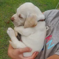 processed/1fa837ee-d6cd-46e9-9e89-d8fd0cff63d7/facility/07973a4c-1da9-4535-89ad-78e7322222d2