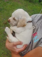 processed/1fa837ee-d6cd-46e9-9e89-d8fd0cff63d7/facility/07973a4c-1da9-4535-89ad-78e7322222d2