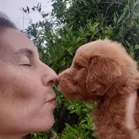 processed/1fa837ee-d6cd-46e9-9e89-d8fd0cff63d7/facility/268e401f-b480-4304-9b11-17af58f70b1b