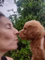 processed/1fa837ee-d6cd-46e9-9e89-d8fd0cff63d7/facility/268e401f-b480-4304-9b11-17af58f70b1b