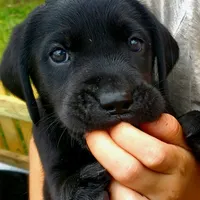 processed/1fa837ee-d6cd-46e9-9e89-d8fd0cff63d7/facility/2d534797-fdcd-4fdf-b6c2-8e845937a11c