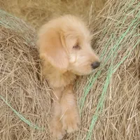 processed/1fa837ee-d6cd-46e9-9e89-d8fd0cff63d7/facility/36e8cf28-25b0-4d84-94f0-2daa1d0fd9d2