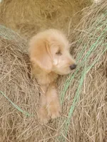 processed/1fa837ee-d6cd-46e9-9e89-d8fd0cff63d7/facility/36e8cf28-25b0-4d84-94f0-2daa1d0fd9d2