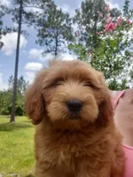 processed/1fa837ee-d6cd-46e9-9e89-d8fd0cff63d7/facility/46c16be7-3105-435d-9225-2706014e404a