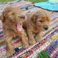 processed/1fa837ee-d6cd-46e9-9e89-d8fd0cff63d7/facility/5c0f84f8-7101-4e93-91bd-ab4212e8a800