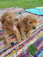 processed/1fa837ee-d6cd-46e9-9e89-d8fd0cff63d7/facility/5c0f84f8-7101-4e93-91bd-ab4212e8a800