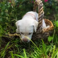 processed/1fa837ee-d6cd-46e9-9e89-d8fd0cff63d7/facility/a9cb5829-20ec-4ceb-8765-ba792af7e386