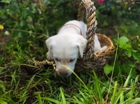 processed/1fa837ee-d6cd-46e9-9e89-d8fd0cff63d7/facility/a9cb5829-20ec-4ceb-8765-ba792af7e386