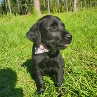 processed/1fa837ee-d6cd-46e9-9e89-d8fd0cff63d7/facility/ad2bd870-e41d-4ff8-a682-22260ff21fc5