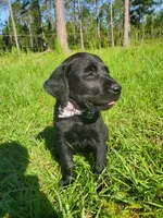 processed/1fa837ee-d6cd-46e9-9e89-d8fd0cff63d7/facility/ad2bd870-e41d-4ff8-a682-22260ff21fc5