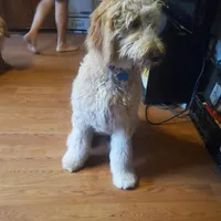 processed/1fa837ee-d6cd-46e9-9e89-d8fd0cff63d7/listing/0dc62579-9c47-40d6-92e3-3f807c96f593/66013e5b-70e0-482b-a5d4-6e235faf67ba