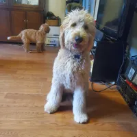 processed/1fa837ee-d6cd-46e9-9e89-d8fd0cff63d7/listing/0dc62579-9c47-40d6-92e3-3f807c96f593/e95b8a77-01b1-422a-8ab8-52aa175f6b01