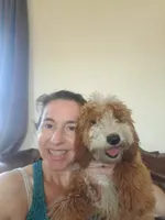 Goldendoodle female puppy, a female Goldendoodle for sale in Sanderson, FL – Photo 6 of 9