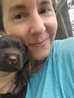 Tootsie, a female Labrador Retriever for sale in Sanderson, FL – 3 of 6
