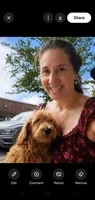 Finn, a male Goldendoodle for sale in Sanderson, FL – 4 of 7