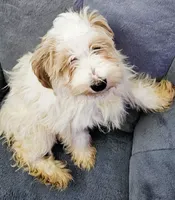 processed/1fac2c7e-f019-4be5-9340-9d2da4991e9c/listing/3e04781c-a4dc-4b03-871c-44fd3e0e63cd/be33affb-5e05-4a63-8056-9db2541eb732