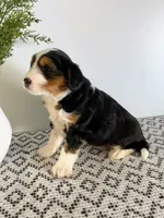 processed/1faf0789-5f5e-4ea0-a011-916afb06c398/listing/62bc84eb-ea9b-40a5-b651-c2f6250ea96f/289a3b57-f6ac-4fa9-af60-da6d7fd1c690