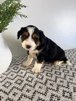 processed/1faf0789-5f5e-4ea0-a011-916afb06c398/listing/62bc84eb-ea9b-40a5-b651-c2f6250ea96f/9046d807-70da-49e8-b86e-dea64db20cd3