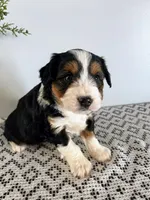 processed/1faf0789-5f5e-4ea0-a011-916afb06c398/listing/62bc84eb-ea9b-40a5-b651-c2f6250ea96f/e610039f-0090-46e9-b0d0-613d1e46bd4d