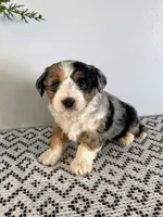 processed/1faf0789-5f5e-4ea0-a011-916afb06c398/listing/6f3649f3-e19c-45cd-95ea-7a873be12124/ab4438ff-6c08-4535-bbbd-19bd3003ef57