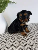 processed/1faf0789-5f5e-4ea0-a011-916afb06c398/listing/8473e909-2428-4050-8532-e5ec6c58c732/81f73c51-a02f-4d81-9f2d-43a3653609fc