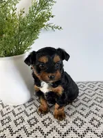 processed/1faf0789-5f5e-4ea0-a011-916afb06c398/listing/8473e909-2428-4050-8532-e5ec6c58c732/fa394dd2-e645-48a4-bd1c-3f4bb497d8e6