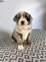 processed/1faf0789-5f5e-4ea0-a011-916afb06c398/listing/898fa994-1518-4ff1-a508-bef67551fa16/52730e01-5b1a-4c3b-a5df-8fb4fae9bec0