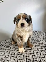 processed/1faf0789-5f5e-4ea0-a011-916afb06c398/listing/898fa994-1518-4ff1-a508-bef67551fa16/99ae5a5e-bded-4492-a40c-d081a59a8e58