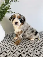 processed/1faf0789-5f5e-4ea0-a011-916afb06c398/listing/898fa994-1518-4ff1-a508-bef67551fa16/f834d1a9-5244-478b-9158-e3d3bf4225c4