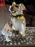 processed/1fc1b840-bbd1-4718-bdef-baa03332e0a1/facility/4e50bcb1-6ee2-4cae-afeb-f044ef932d51