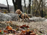 processed/1fc1b840-bbd1-4718-bdef-baa03332e0a1/facility/525b1d04-03f1-437b-a144-e4f52e166c1a