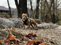 processed/1fc1b840-bbd1-4718-bdef-baa03332e0a1/facility/d0d51c14-542b-48fb-9221-08dee16c916b