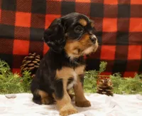 processed/1fc57b90-8b3c-4a78-8c6b-4ffafcb466c1/facility/0494899d-81e5-4f99-8ef9-9eda05c289a2