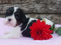 processed/1fc57b90-8b3c-4a78-8c6b-4ffafcb466c1/facility/2e960793-d3b1-436e-9ed1-bbff774deb33