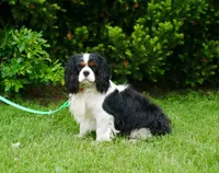 processed/1fc57b90-8b3c-4a78-8c6b-4ffafcb466c1/facility/3846dfe0-506d-4dc2-9642-081194eb74df