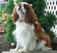 processed/1fc57b90-8b3c-4a78-8c6b-4ffafcb466c1/facility/4ec32f2e-605d-42d5-82b7-7e55613c7253