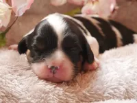 processed/1fc57b90-8b3c-4a78-8c6b-4ffafcb466c1/facility/7e8ea921-7d09-4ab5-8d0d-ddd63f63294c