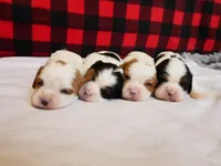 processed/1fc57b90-8b3c-4a78-8c6b-4ffafcb466c1/facility/8790b32a-7234-42f0-85c0-9292d546327d