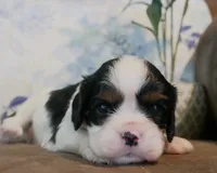 processed/1fc57b90-8b3c-4a78-8c6b-4ffafcb466c1/facility/f954fa96-eb1f-4bb1-ac31-82658e674947