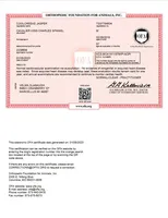 Jasper, a male Cavalier King Charles Spaniel for sale in Marcellus, MI – Photo 6 of 7