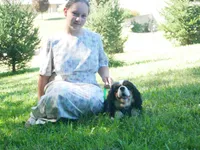 Jasper, a male Cavalier King Charles Spaniel for sale in Marcellus, MI – Photo 3 of 7